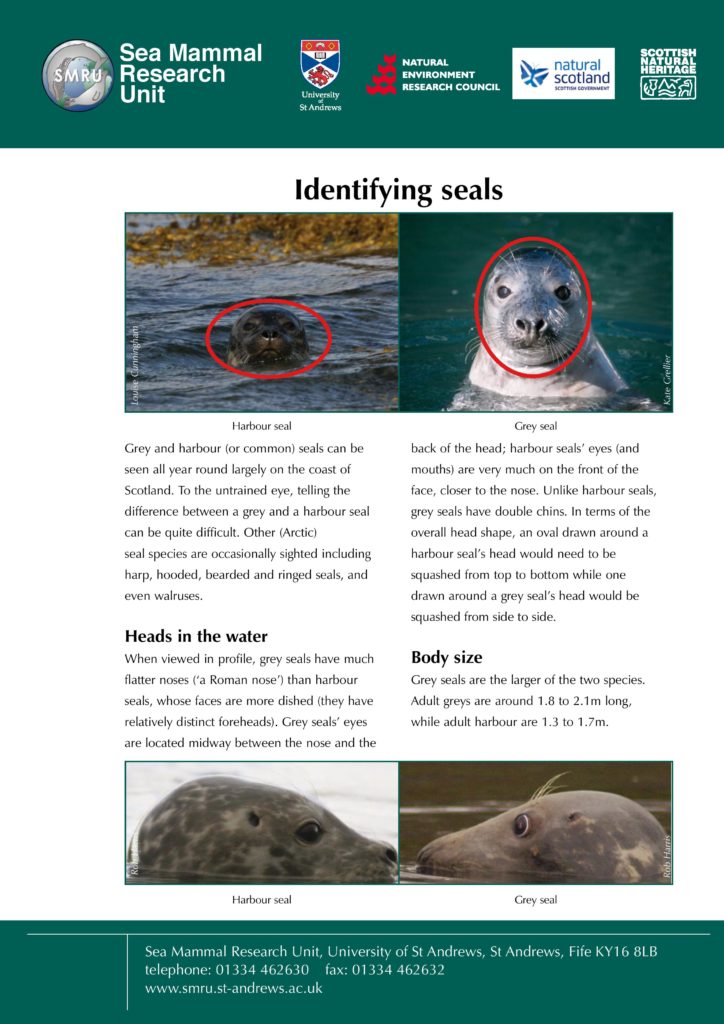 Identifying seals-page-001