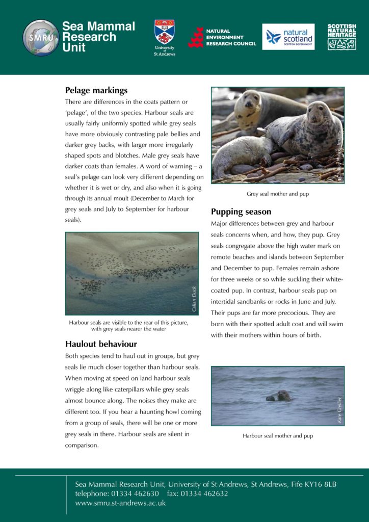 Identifying seals-page-002